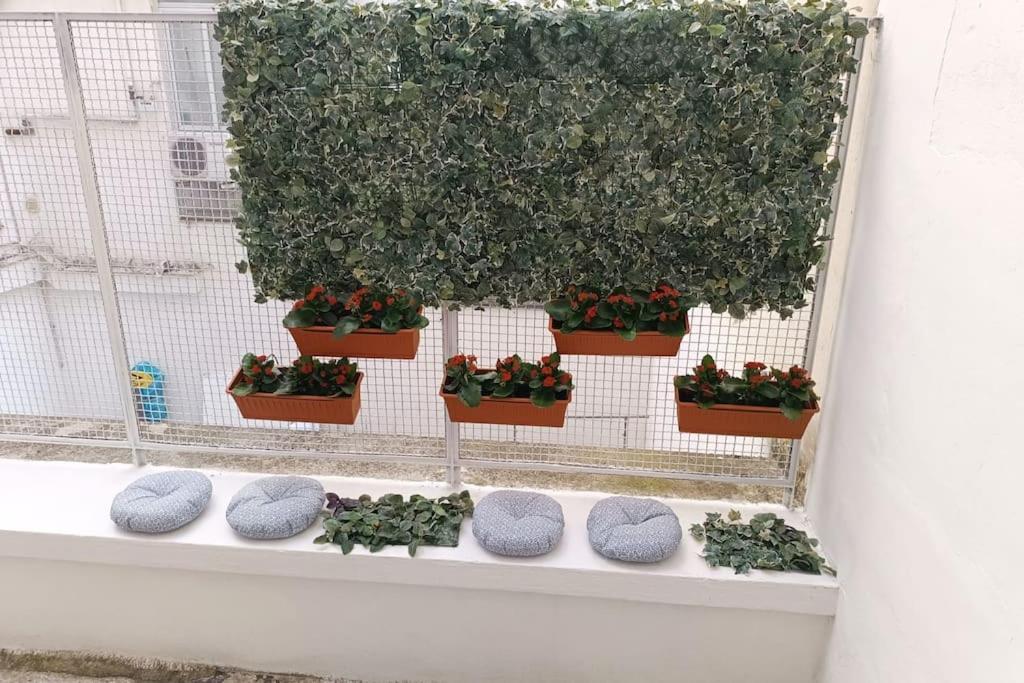 Home130 Μπάρι Εξωτερικό φωτογραφία